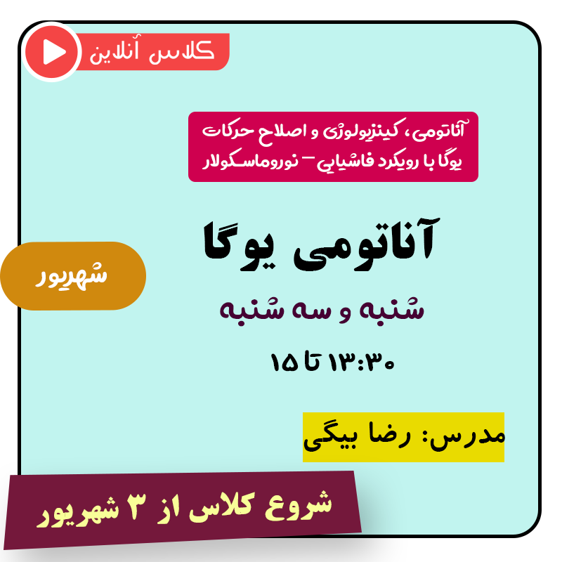 آناتومی، کینزیولوژی یوگا و بدن هوشمند از ۳ شهریور