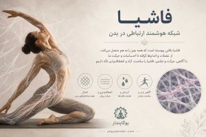 فاشیا،-شبکهای-سهبعدی-و-پیوسته-از-بافت-همبند